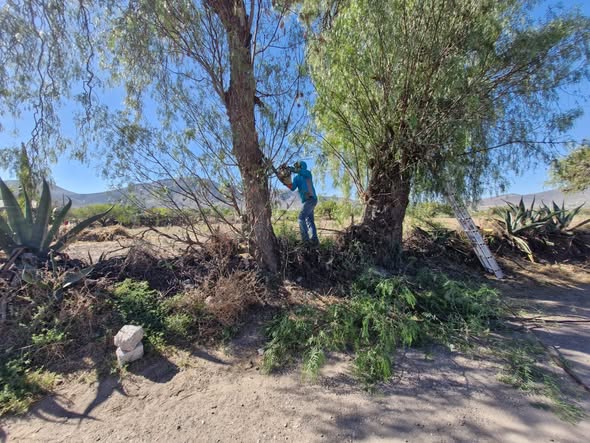 Realizan faena de limpieza y mantenimiento en barrio La Mora, en El Arenal