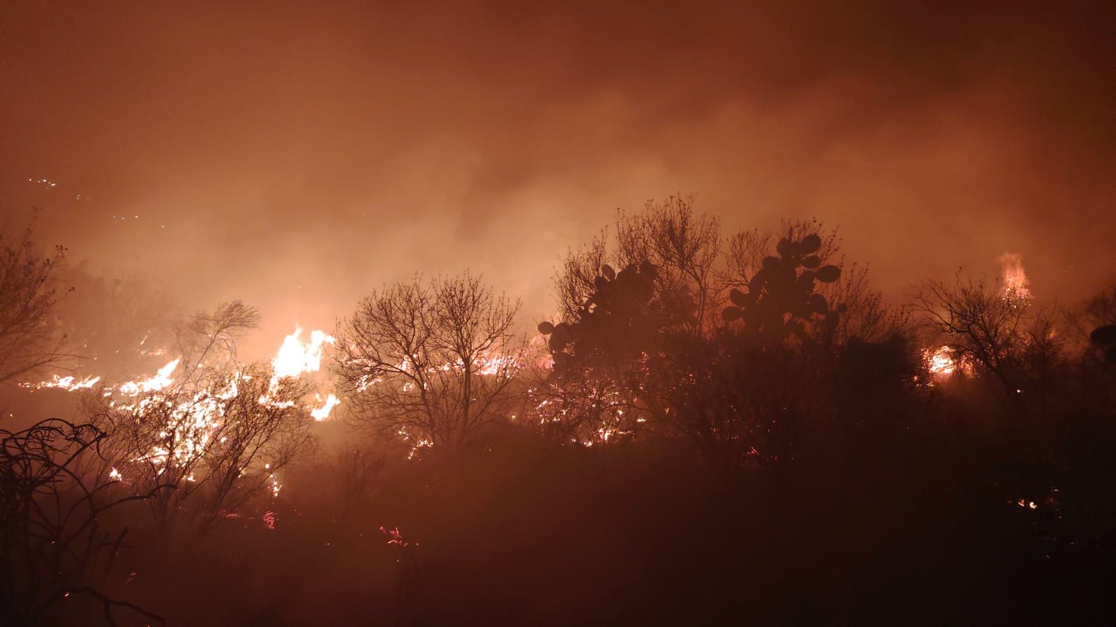 PROTECCIÓN CIVIL CONTROLA INCENDIO DE PASTIZAL EN LA COLONIA GUADALUPE, EN VILLA DE TEZONTEPEC