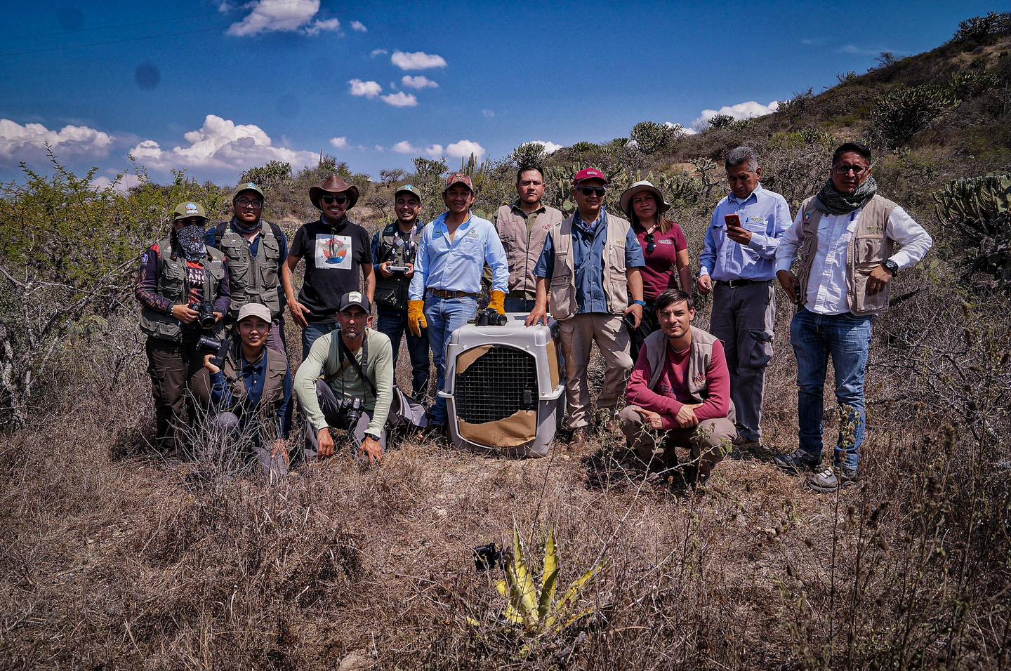 LIBERAN 16 EJEMPLARES DE FAUNA SILVESTRE EN LA BARRANCA DE METZTITLÁN