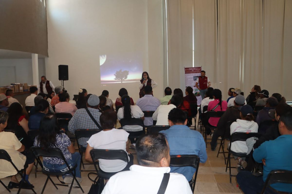 Imagen 2