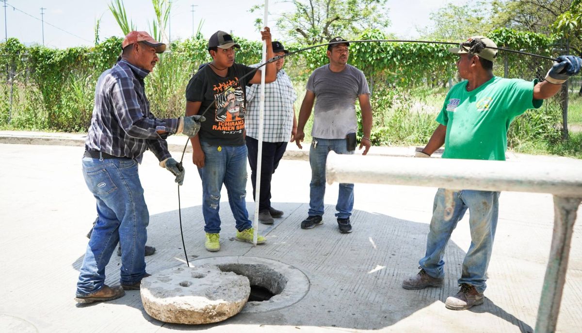 Imagen 2