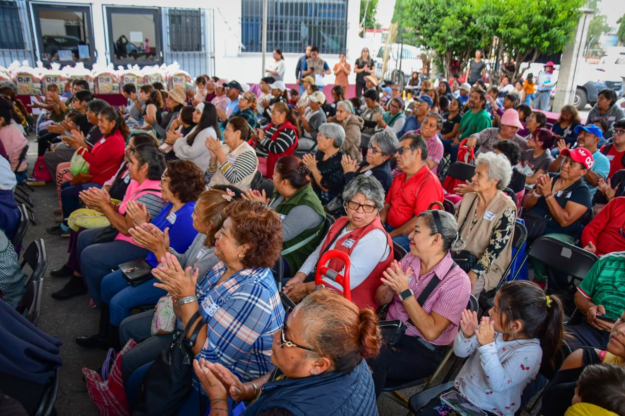 Imagen 6