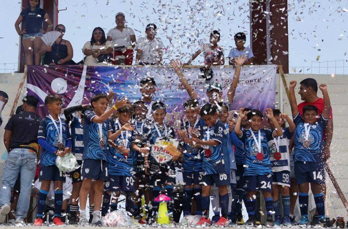 Imagen 16