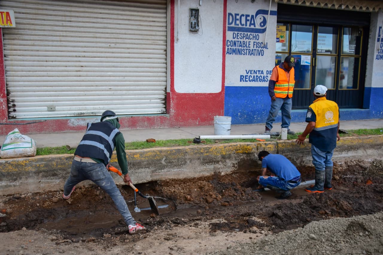Imagen 2
