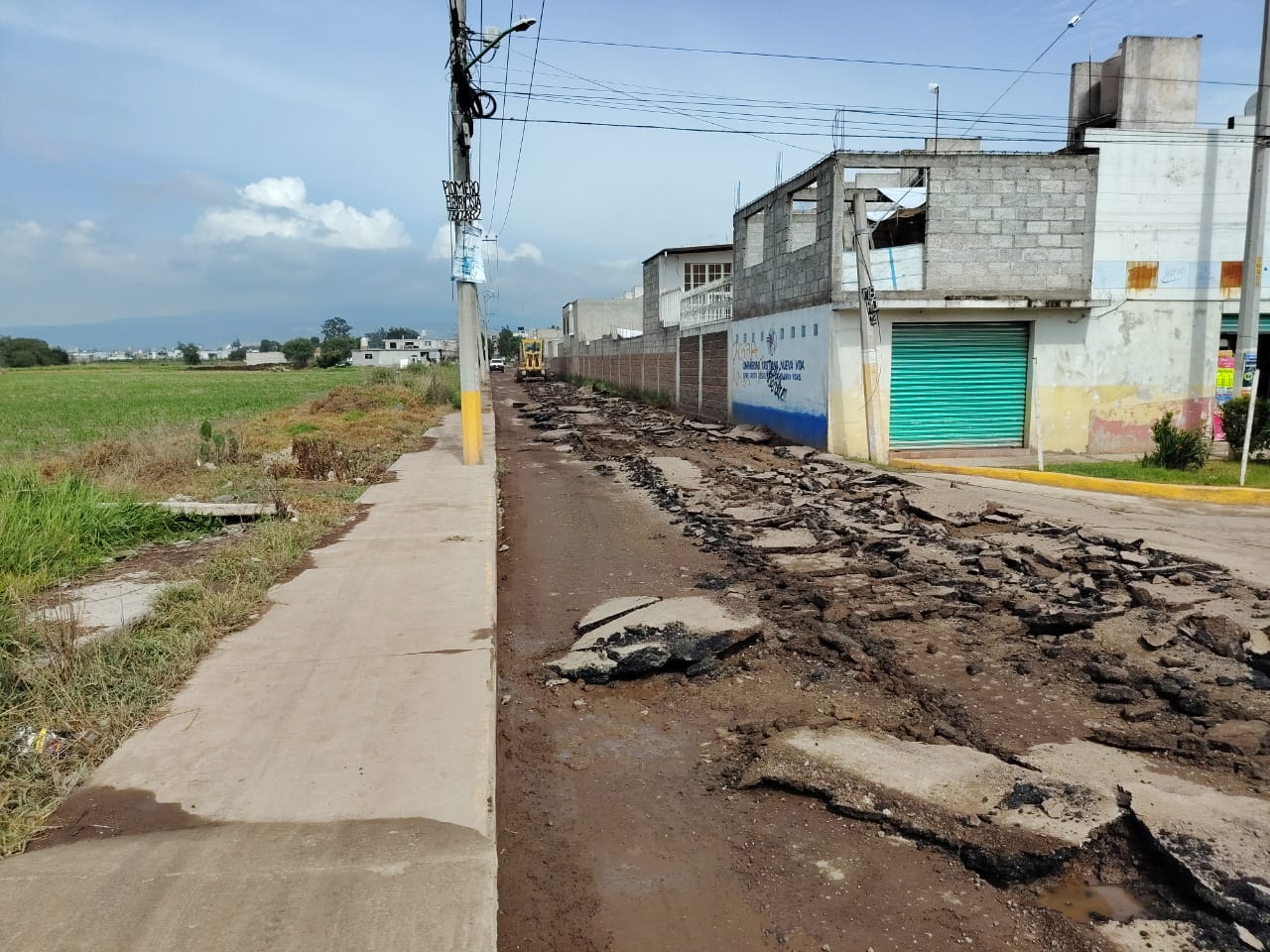 Imagen 8