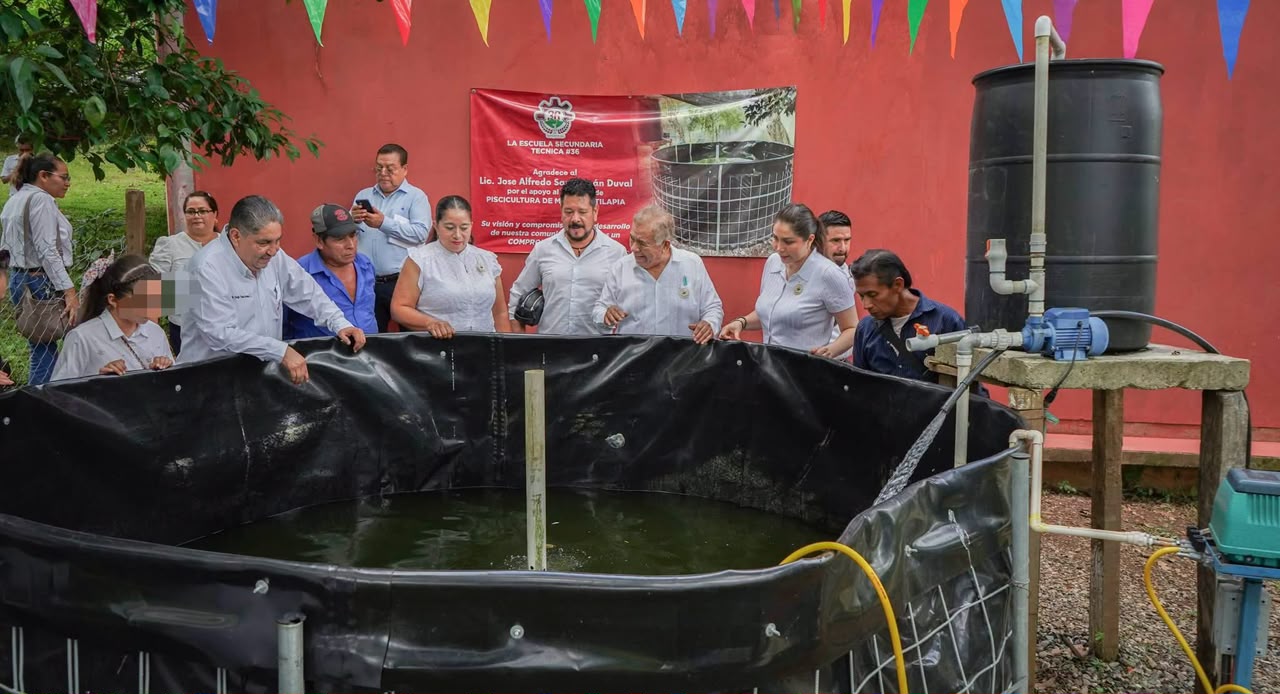 Imagen 5