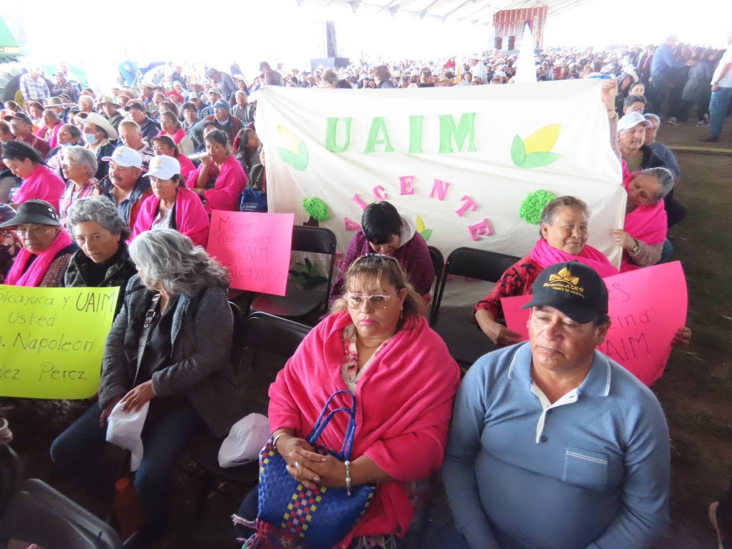 Imagen 3