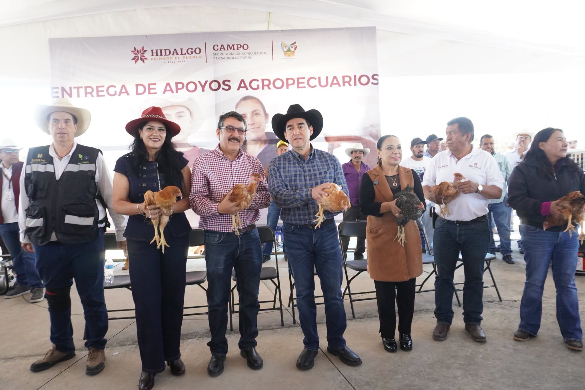 Imagen 5