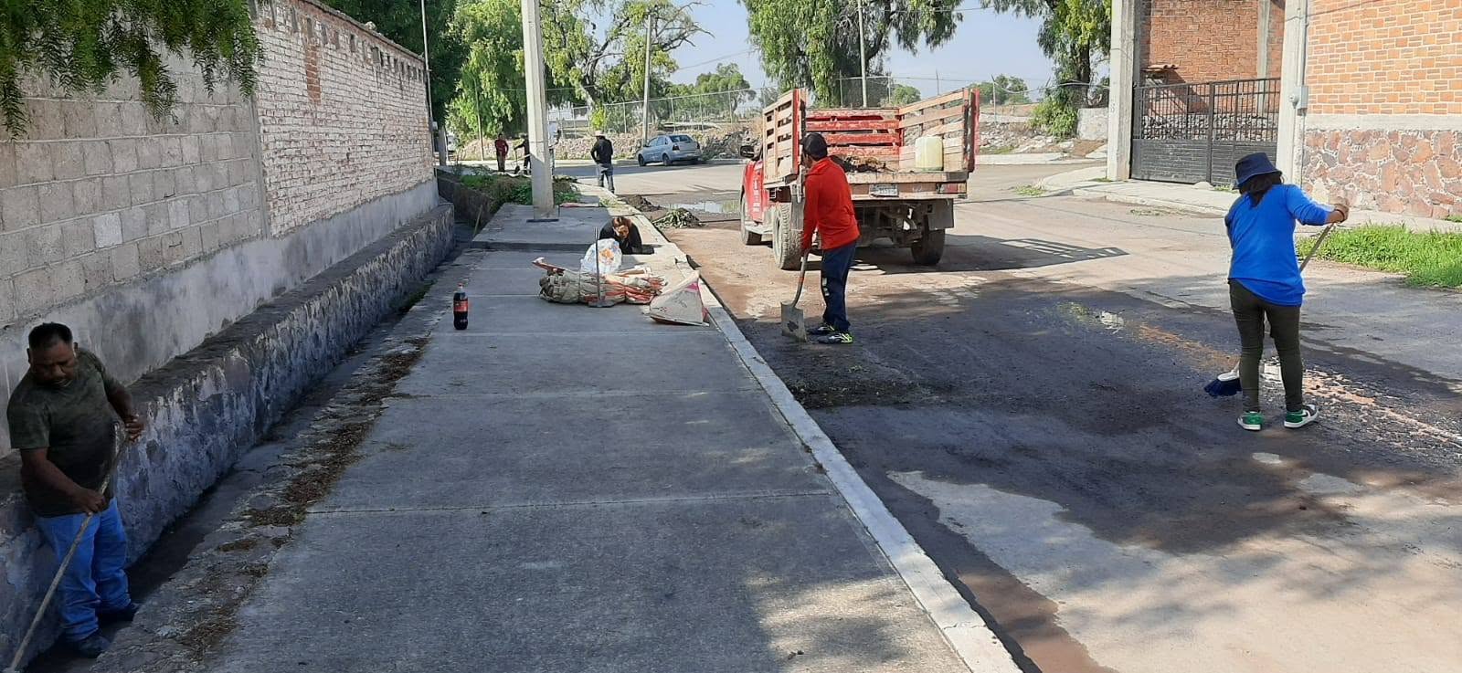 Imagen 5