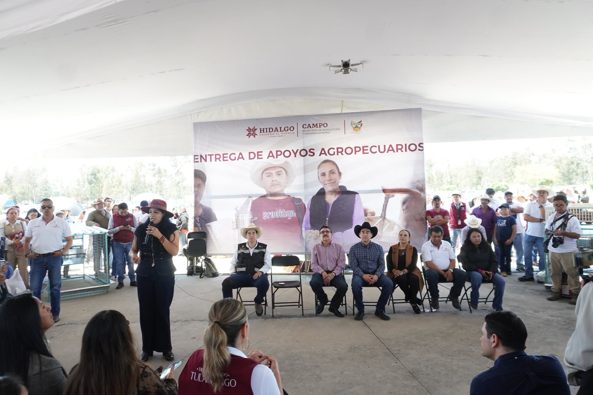 Imagen 16