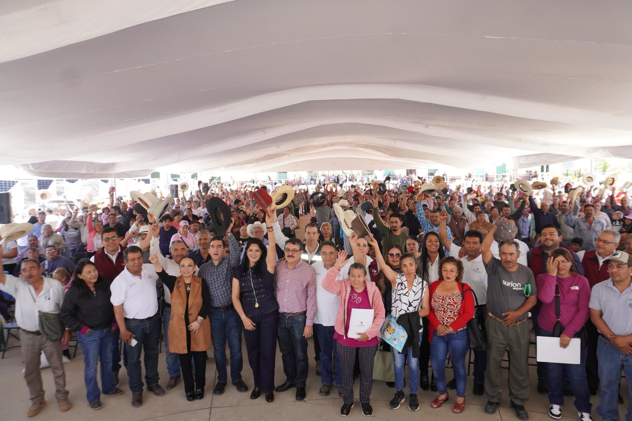 Imagen 6