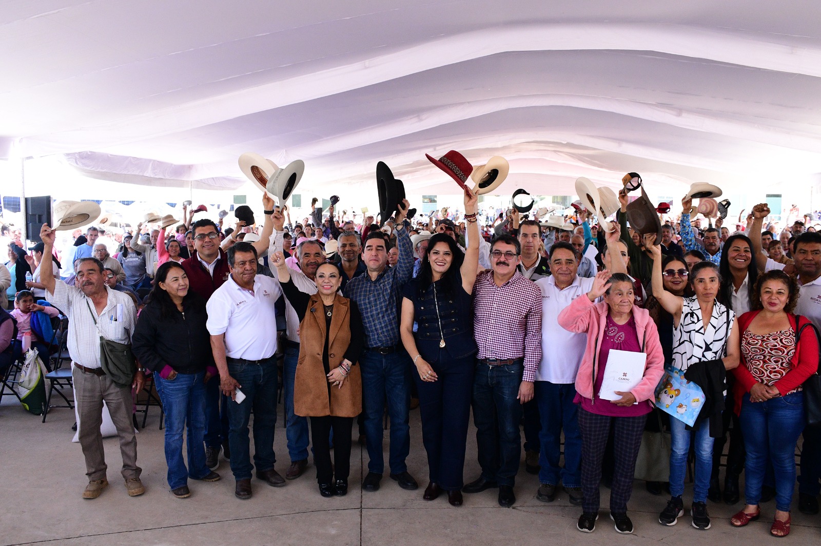 Imagen 5