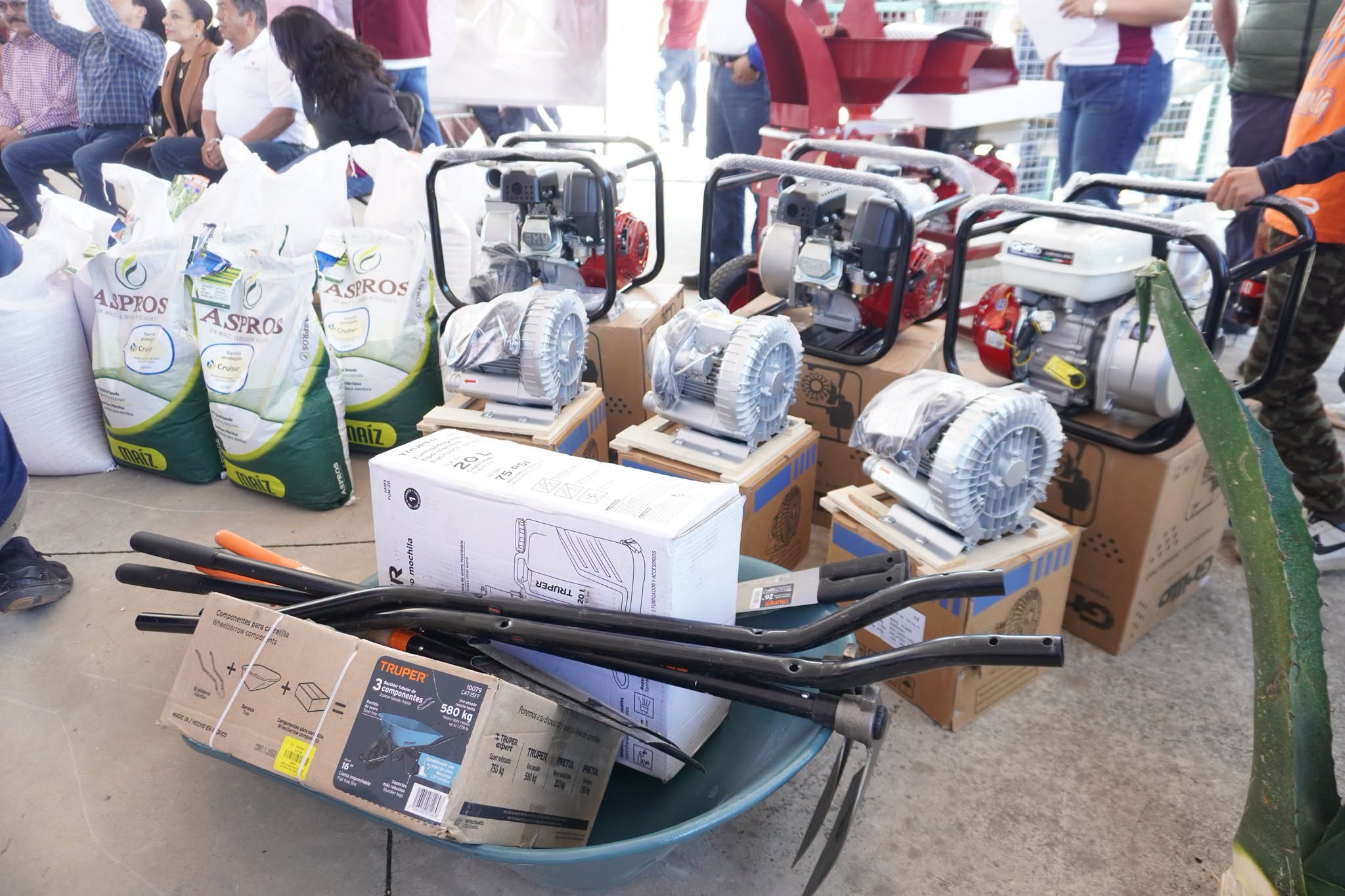 Imagen 14