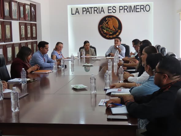 Imagen 5