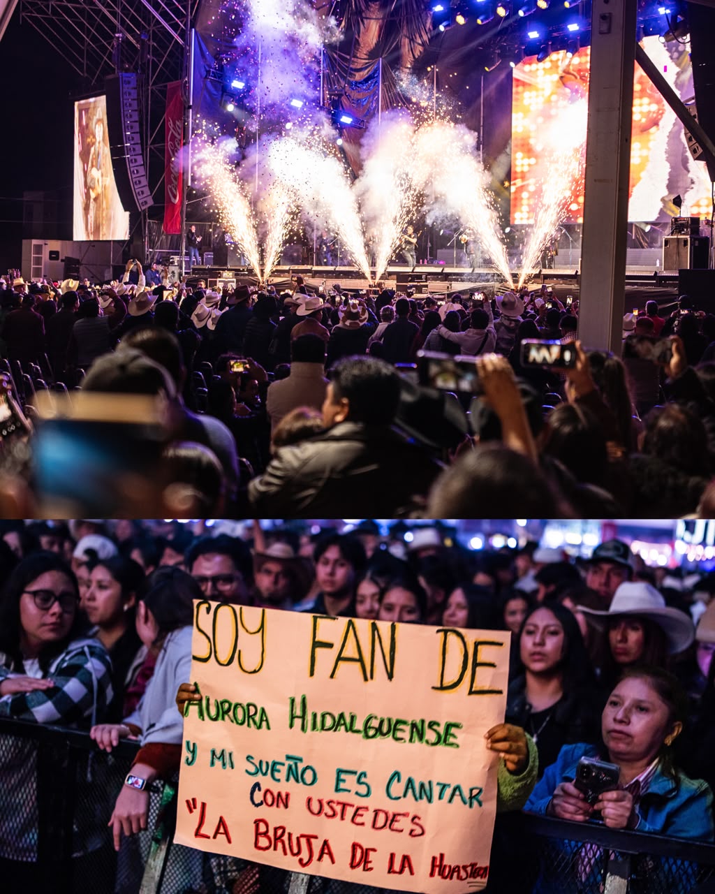 Imagen 11