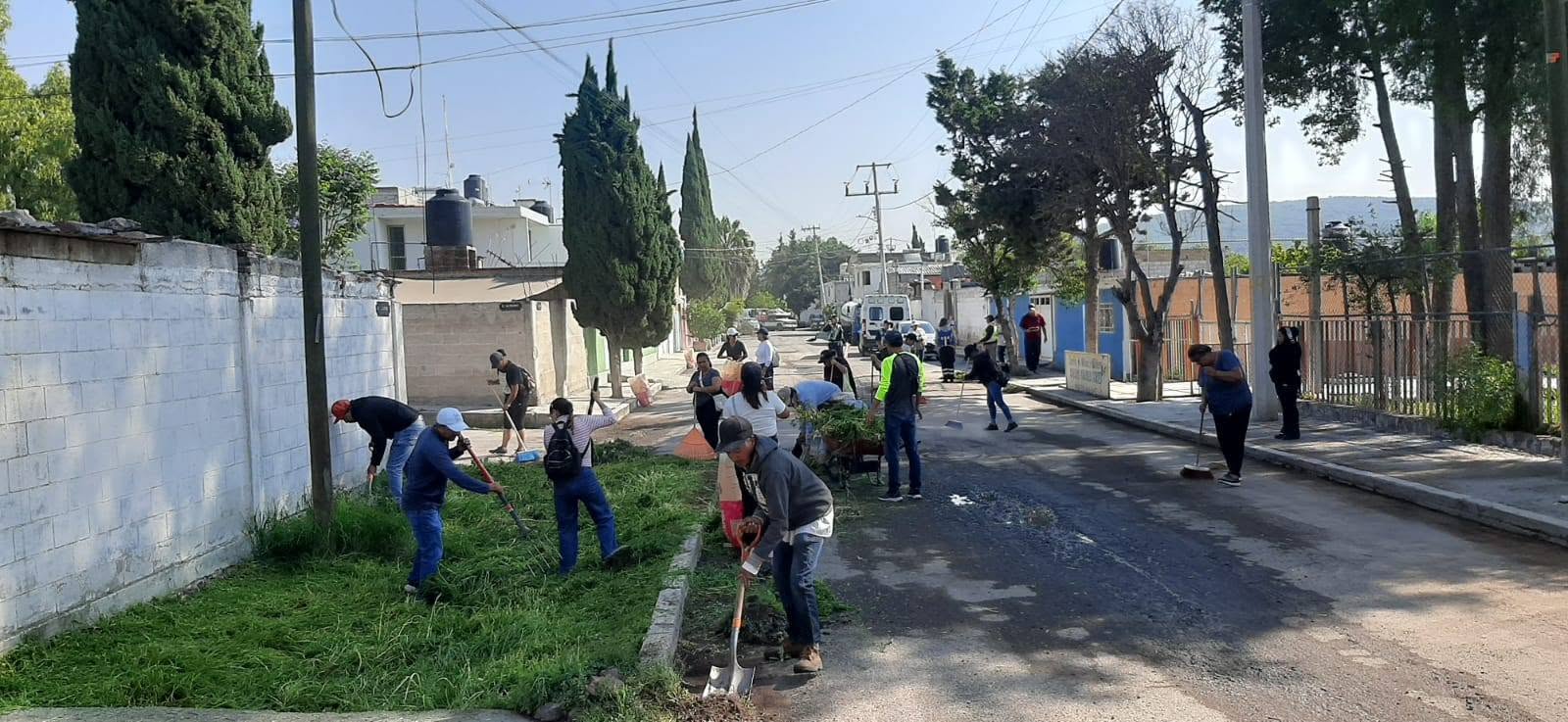 Imagen 7