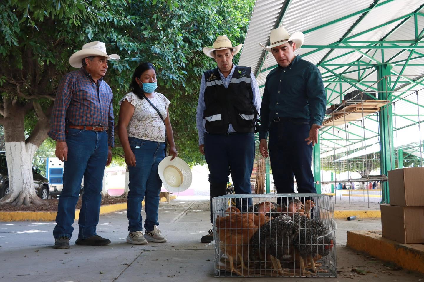 Imagen 7
