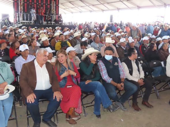 Imagen 11