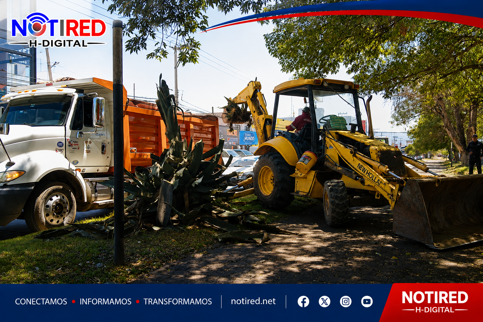 Tulancingo transforma la imagen del bulevar Emiliano Zapata con reforestación planeada