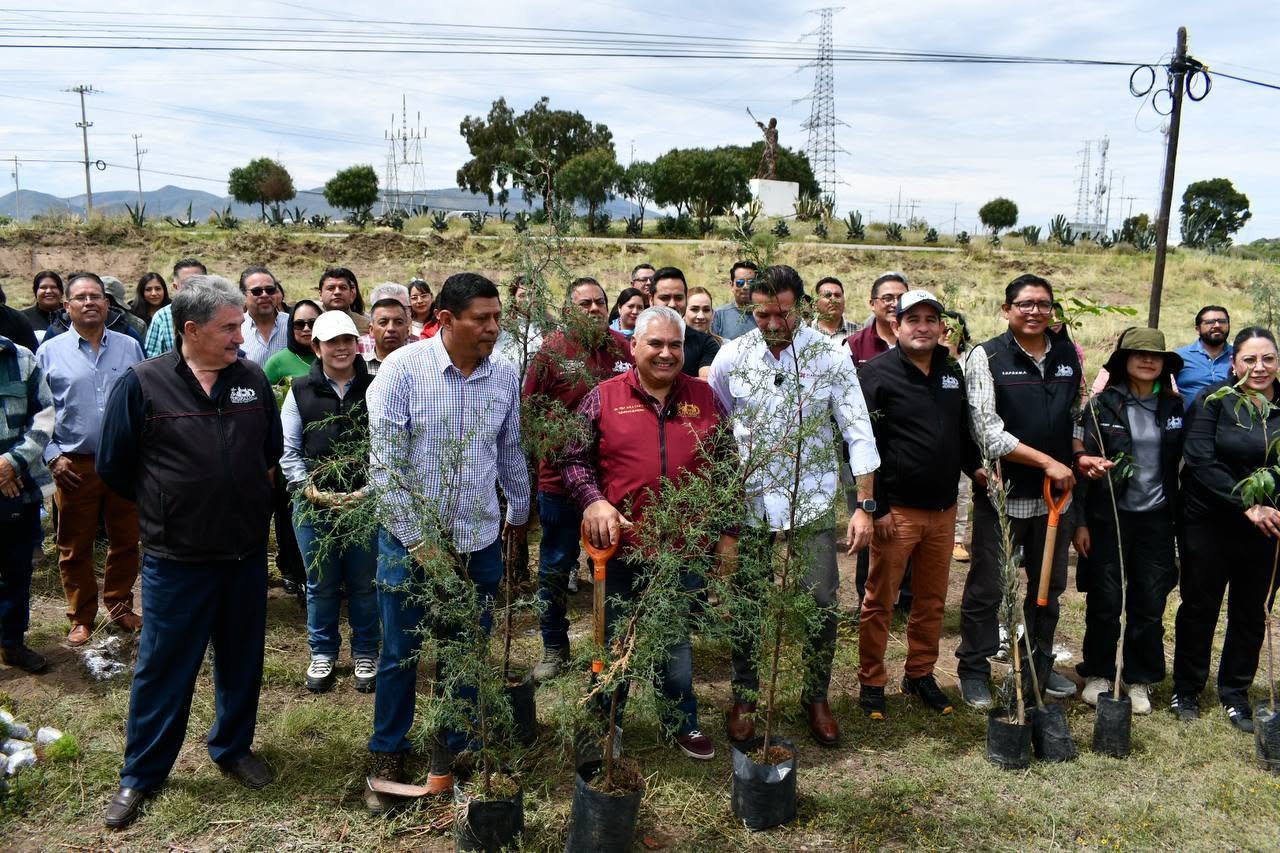 Imagen 2